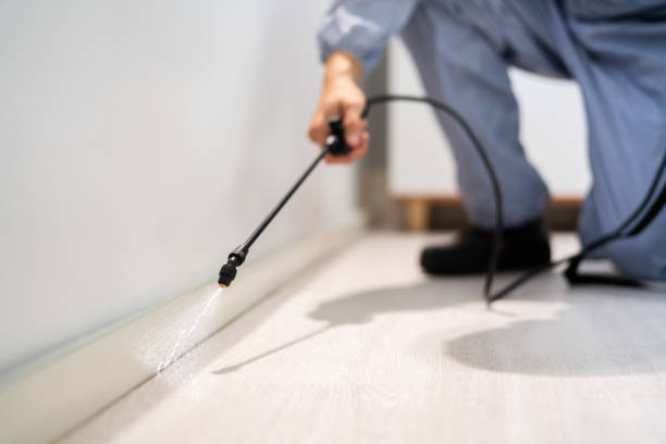 Licensed Mosquito Control service in Prestonsburg, KY - Show Me Pest Control