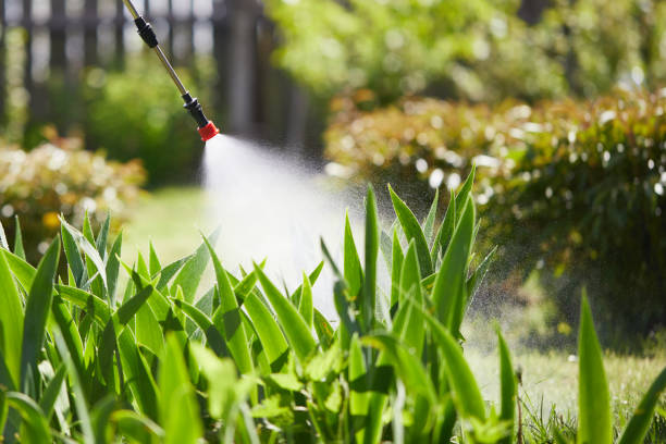24/7 Emergency Mosquito Control experts in Prestonsburg, KY